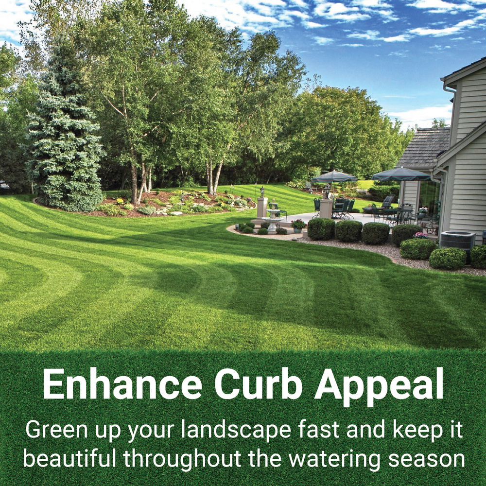 GrassSoGreen 19-0-0 Maintenance Formula Fertilizer 1 Gallon