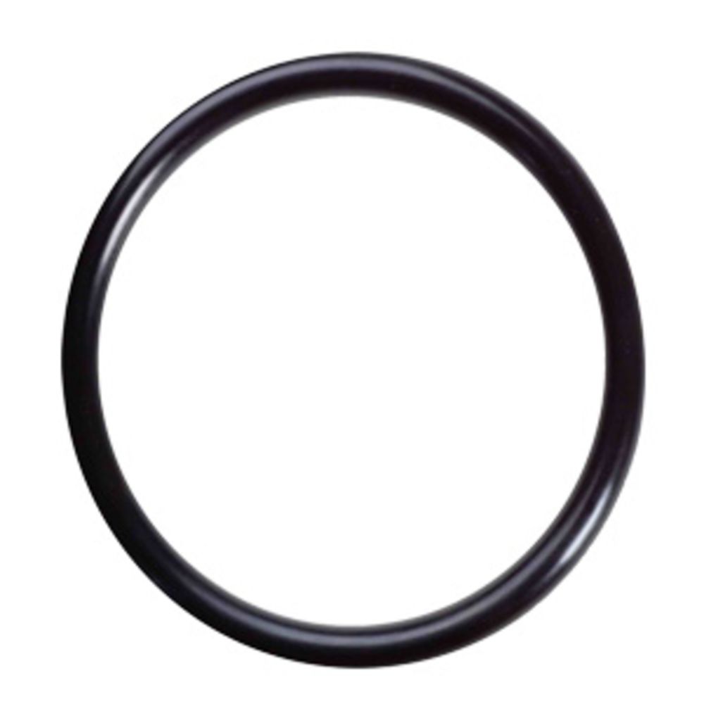 O-Ring 34202022 for Pura UVBB Series Inner Quartz