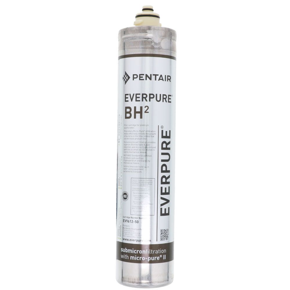Everpure BH2 EV9612-50 Filter Cartridge