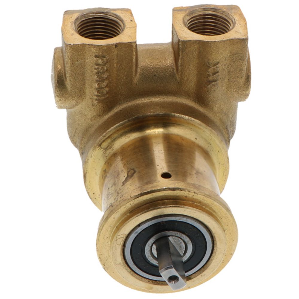 Procon Pump Brass w/ .188" Double Flat Drive 80 GPH 3/8" NPT
