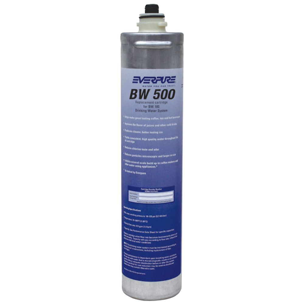 Everpure BW 500 EV9668-56 Filter Cartridge