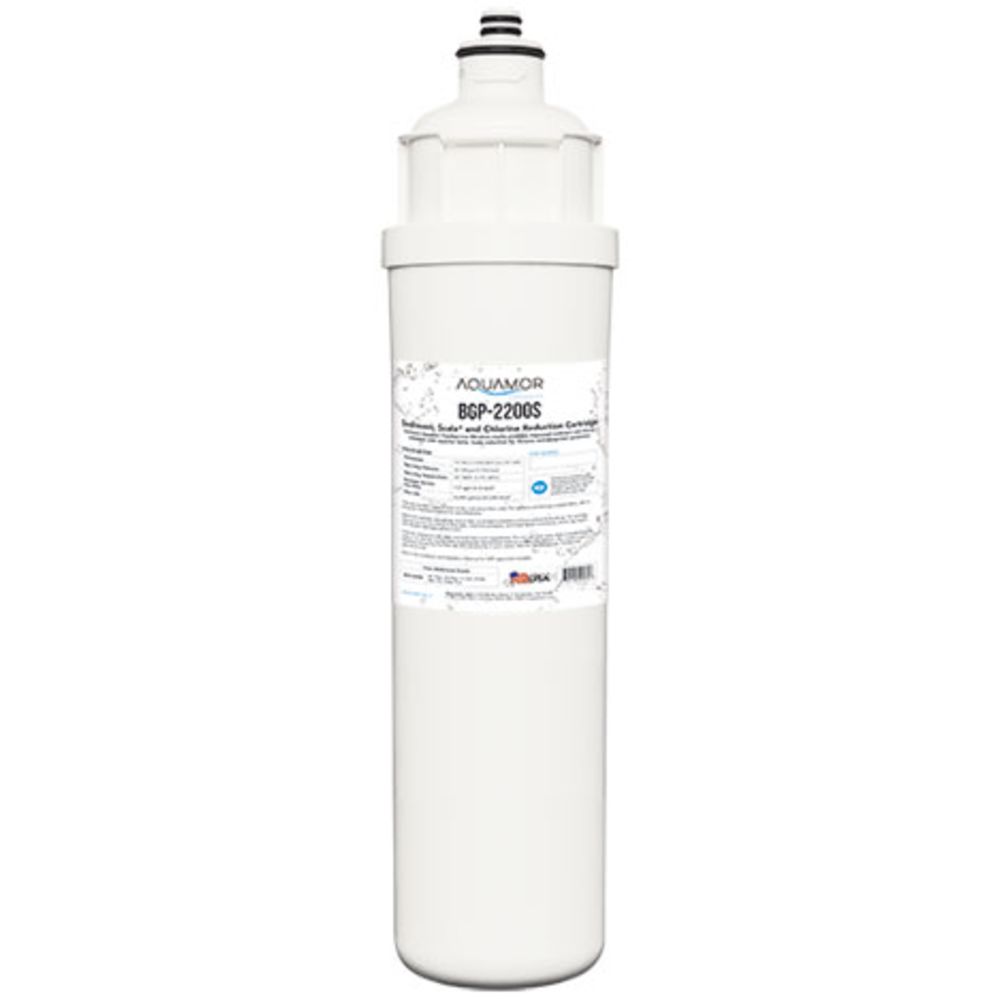 13" 0.5 Micron Carbon Block and Lime Scale Protection 1.67 GPM