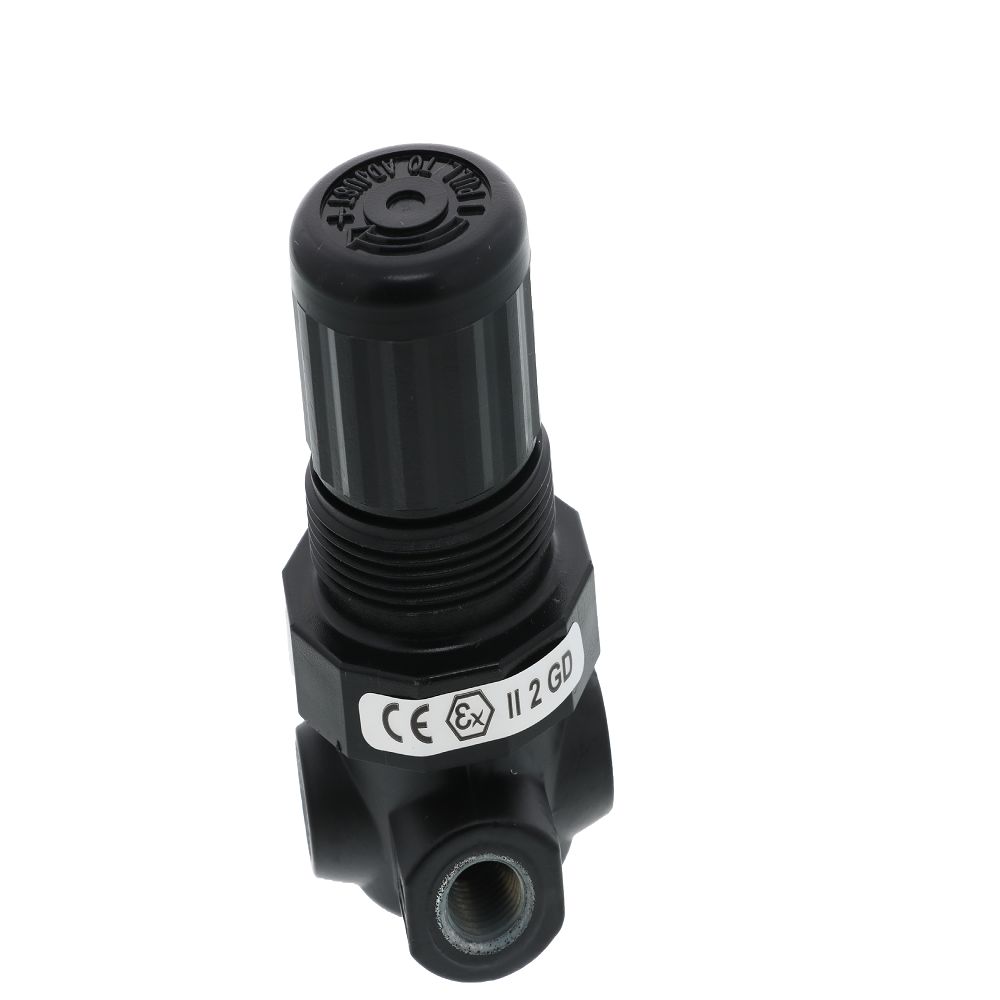 Norgren R07-100-RNKA Relieving Air Pressure Regulator 1/8 FPT