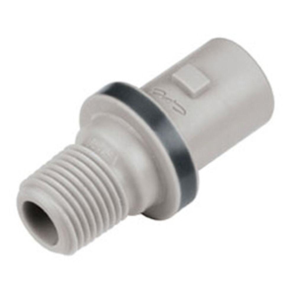 NS2D2402 Valved Male Thread Coupling Insert 1/8 NPT