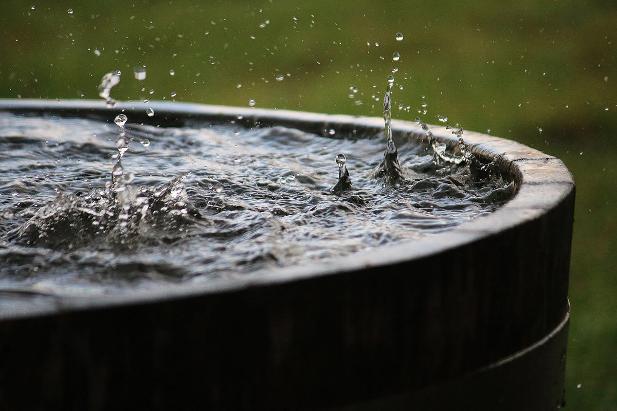 Rainwater Harvesting 101