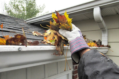 How to Prepare Your Gutters for Fall