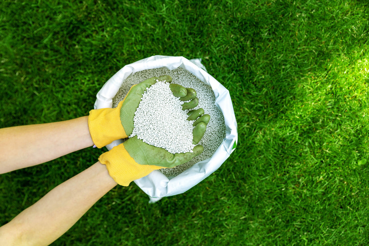 lawn fertilizer granules