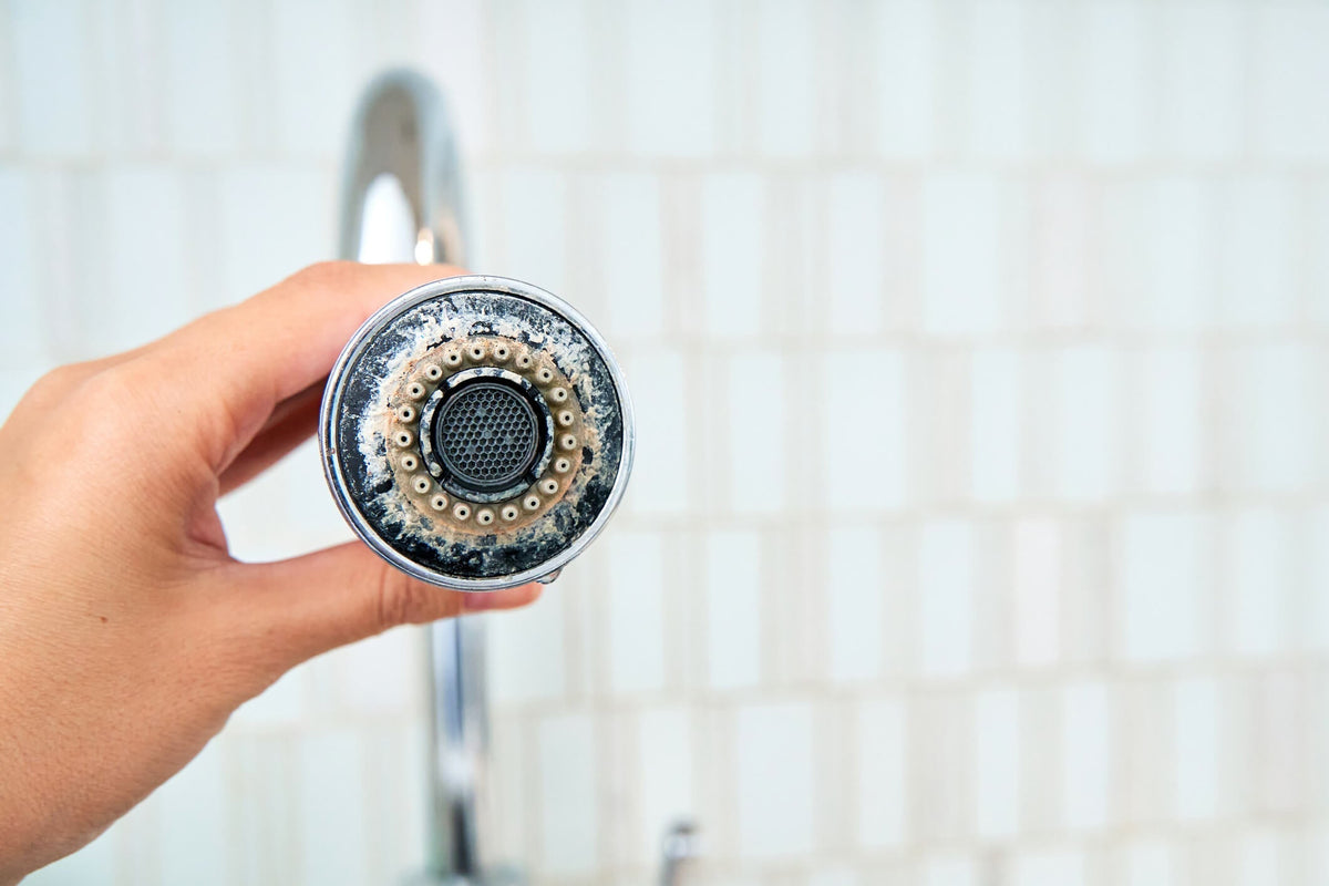 limescale on showerhead