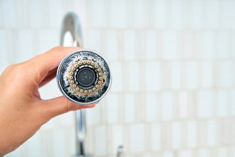 limescale on showerhead