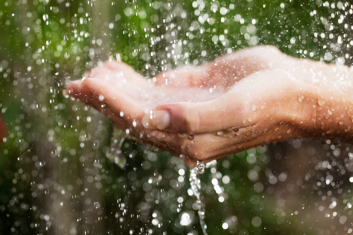 How to Collect Rainwater for Drinking