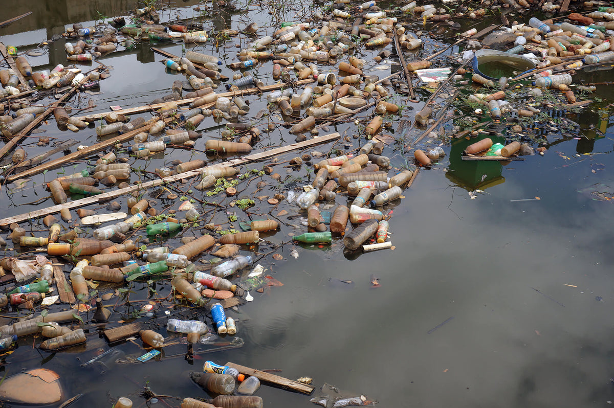 6 Practical Ways to Reduce Water Pollution at Home