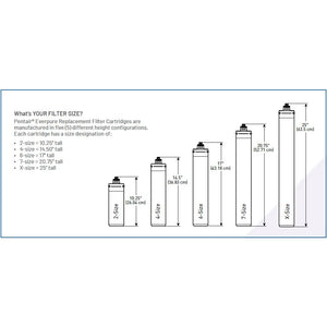 Everpure 2CB-GW EV9618-36 Filter Cartridge