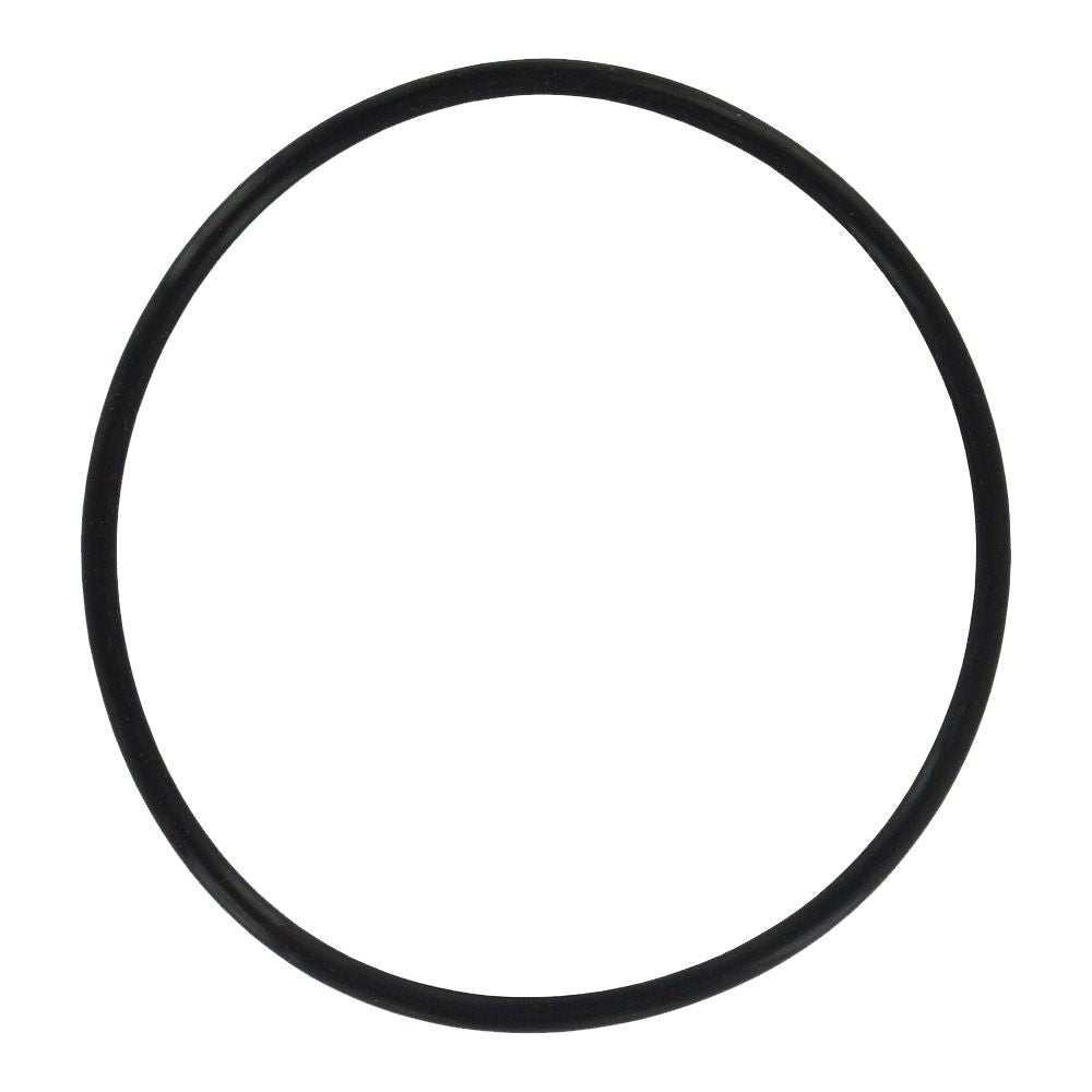 Everpure EV3092-56 O-ring for Costguard Systems