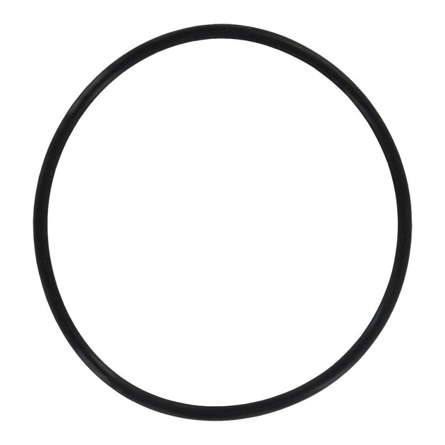 Everpure EV3092-56 O-ring for Costguard Systems