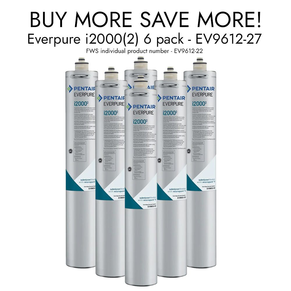 Everpure EV9612-22 i2000(2) InsurIce Filter Cartridge