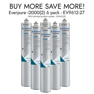 Everpure EV9612-22 i2000(2) InsurIce Filter Cartridge