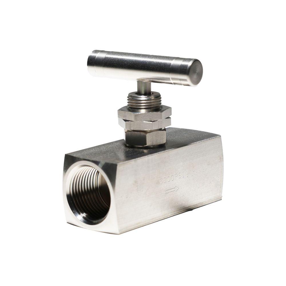 AXEON Needle Valve 316L Stainless Steel 3/4" FNPT