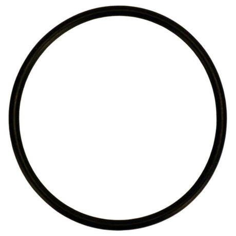 HPS7D STA-Rite O-Ring 2-235 BUNA .139 x ID 3.109, Replacement Part