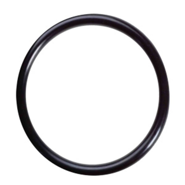 O-Ring 34202022 for Pura UVBB Series Inner Quartz