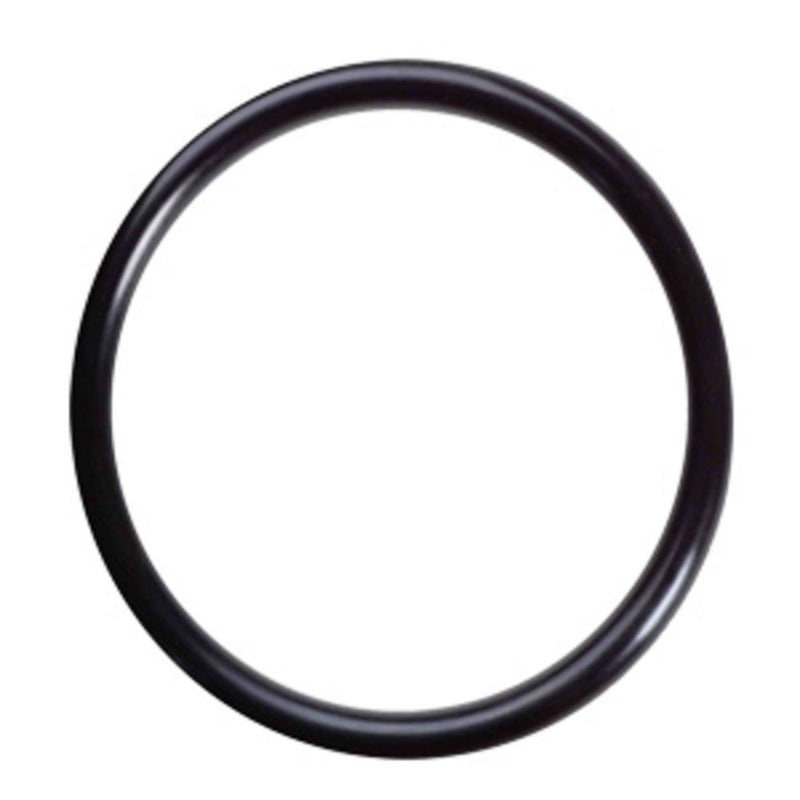 O-Ring 34202022 for Pura UVBB Series Inner Quartz