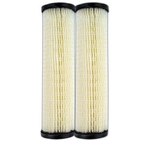 9 3/4" Omnifilter S1 / RS1-DS Pleated Cellulose 20 Mic Filter, 2-Pack