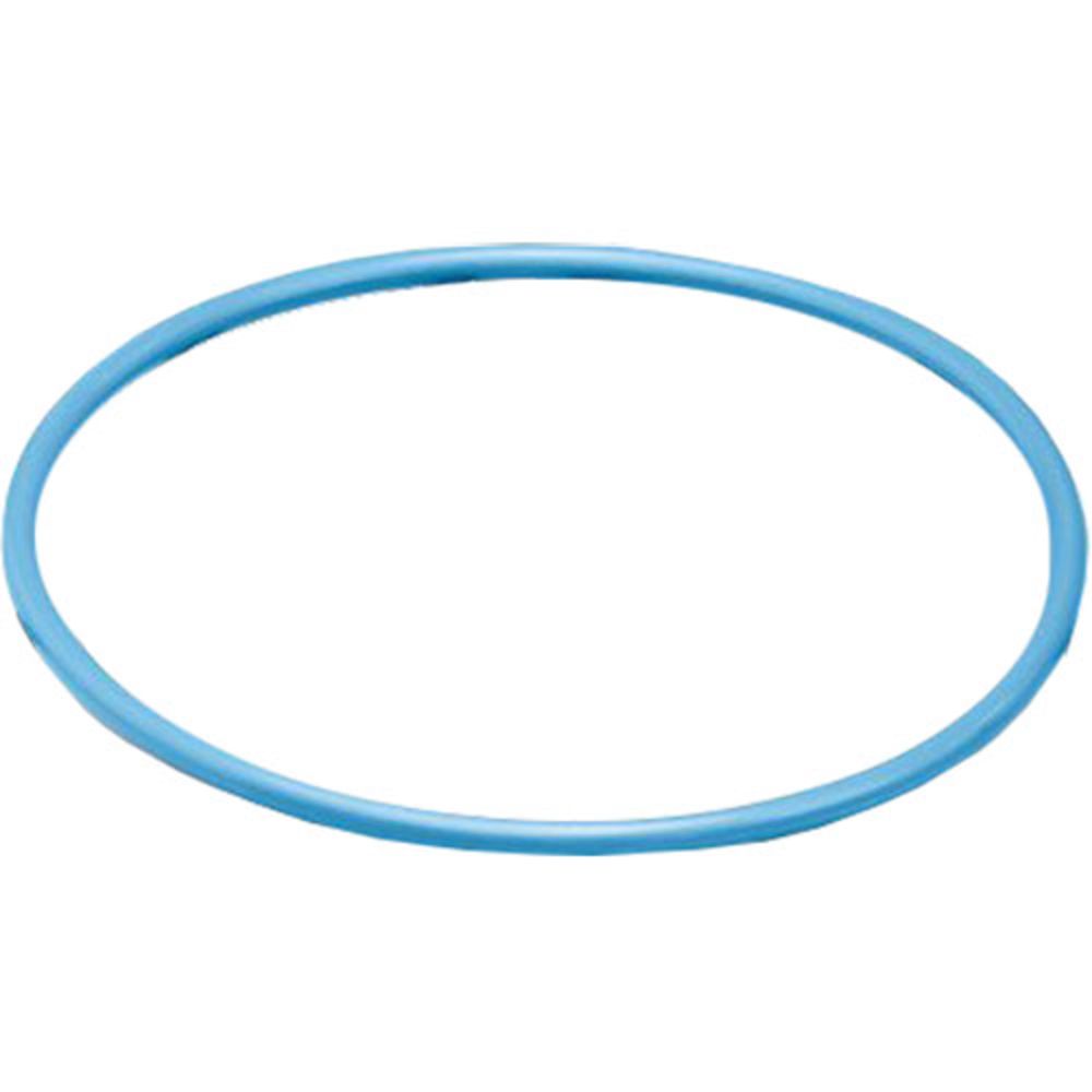 O-Ring - OmniFilter® K4 Replacement O-Ring [Not U24, U25 & BF7]