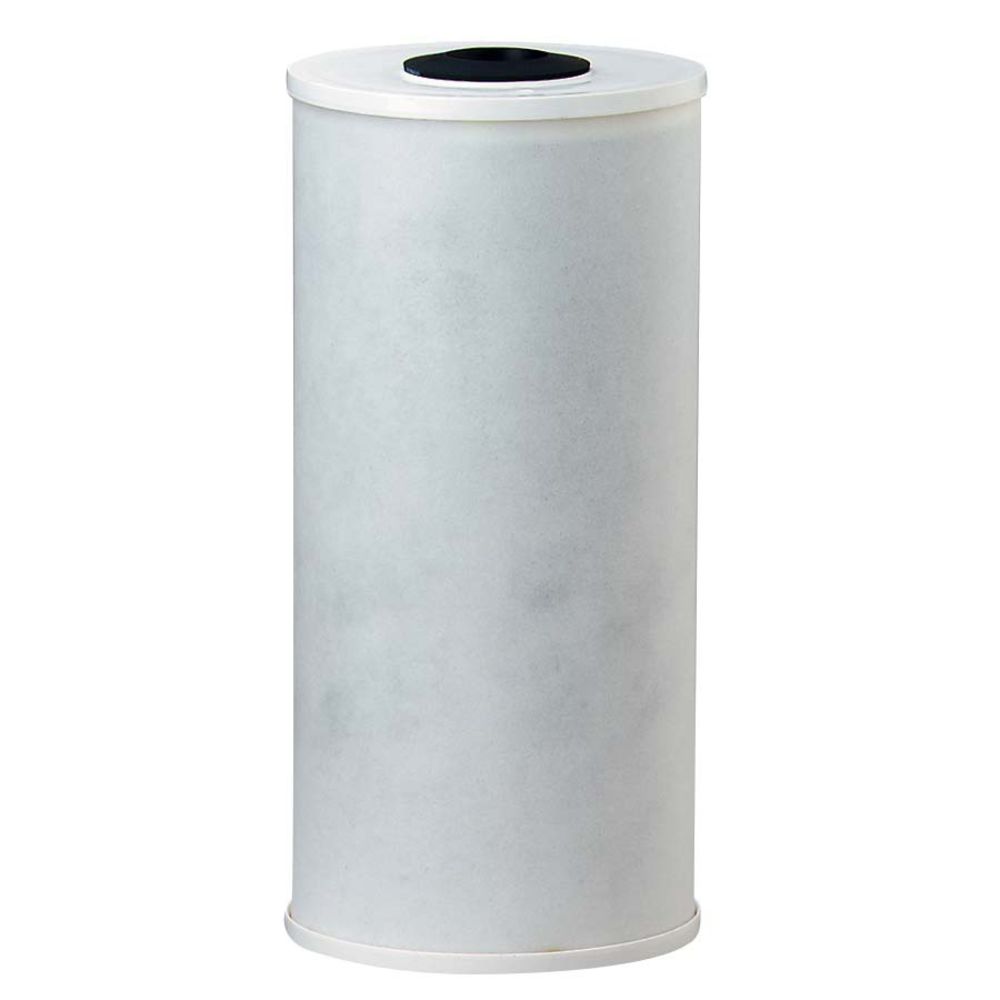 Watts MAXRFL-FF975 9-3/4" BB C-Max Radial Flow GAC Filter 20 mic