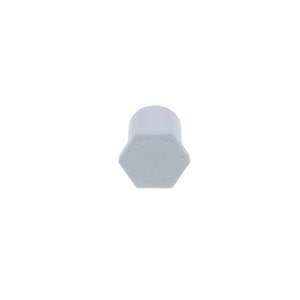 Schedule 40 PVC 3/4" Socket Plug