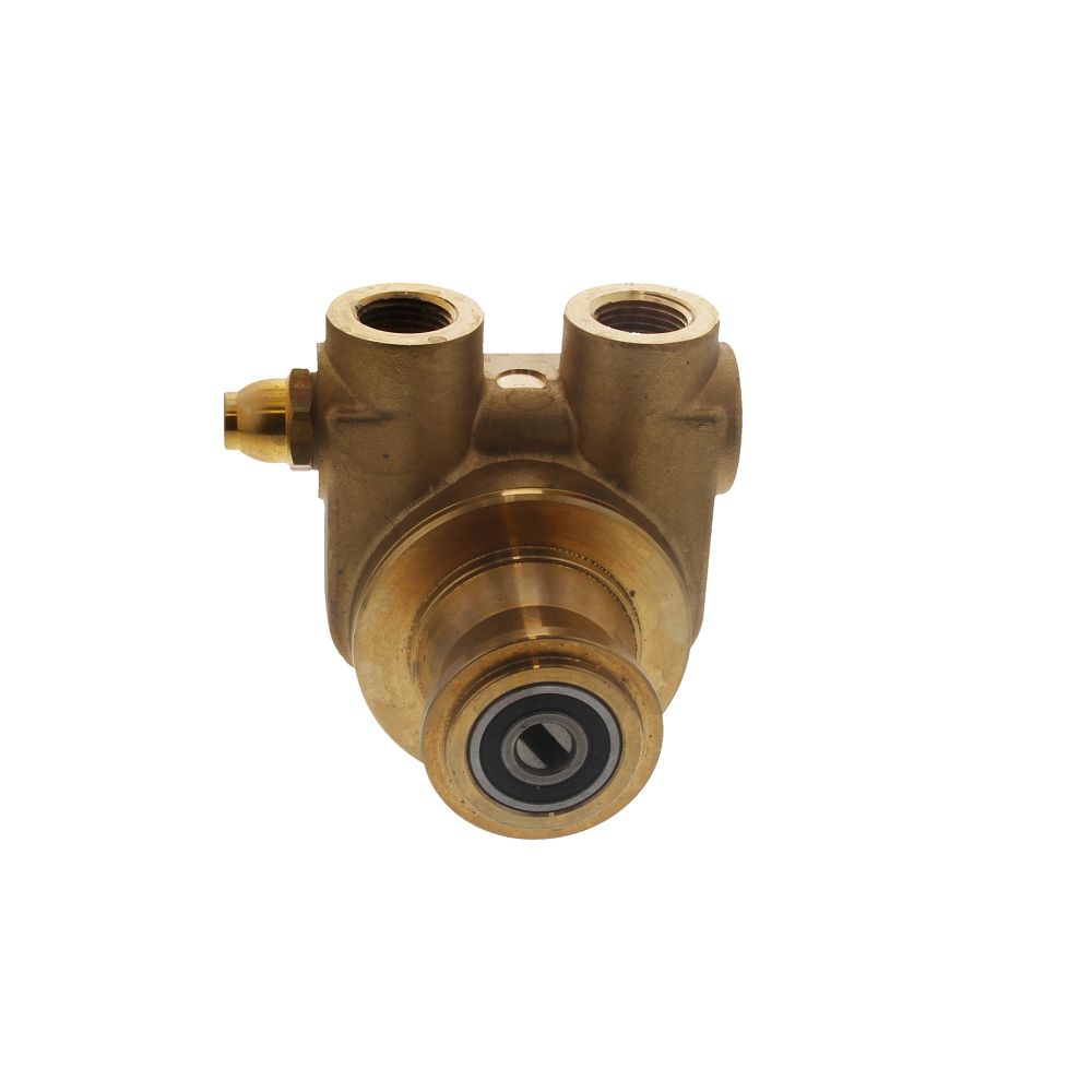 Fluid-o-Tech Lead Free Brass Rotary Vane Pump with Brass Key 240 gph 1/2" NPT