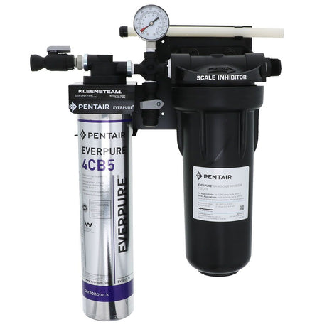Everpure EV9797-50 Kleensteam CT System for Steam Applications
