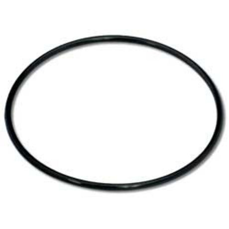 Gasket FDA Swing Bolt Style for 12 Round