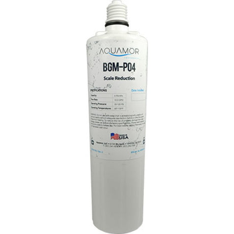 BGM-P04 Scale Inhibitor