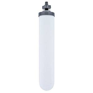 AquaCera W9511304 10" CeraPlus Ceramic Filter Candle Long Mount