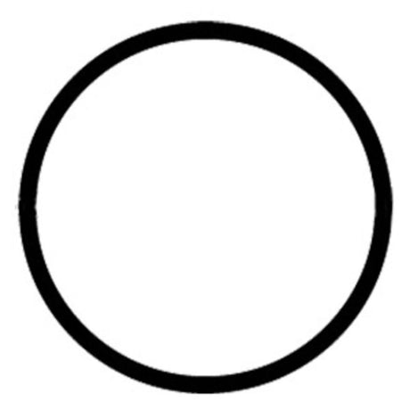 O-Ring #OR-PPV for Membrane Housing