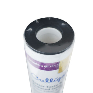D-20A Granular Activated Carbon Replacement Cartridge - Basic Filtration
