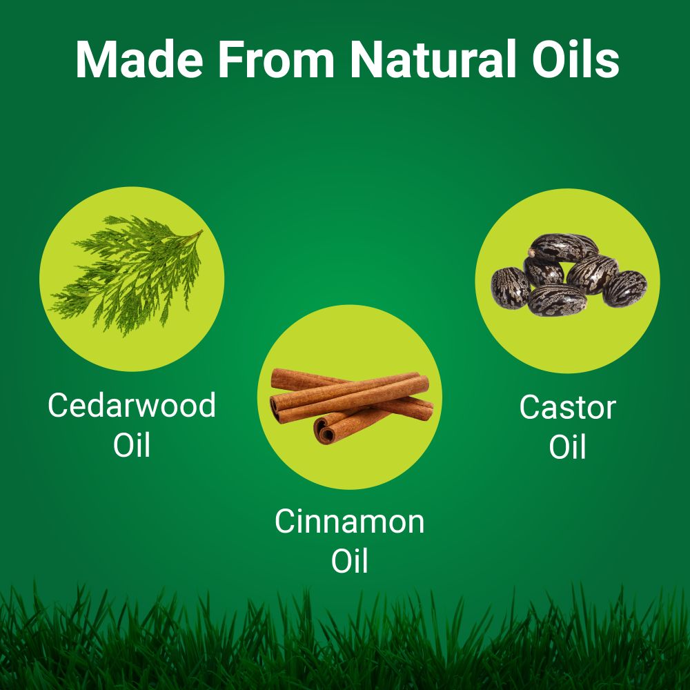 NatureShield Insect and Pest Repellent