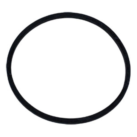 O-Ring for Purwater FHT-34 & FHO-34 ORG006