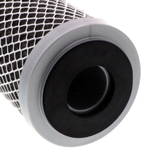 Pentek 455903-43 FloPlus-10 CTO/Cyst 0.5 mic Filter