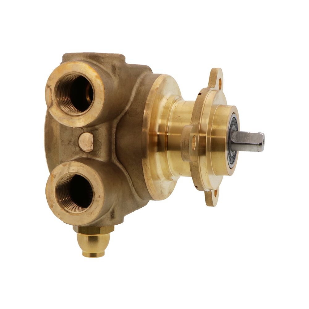 Fluid-o-Tech PB801 Lead Free Brass Rotary Vane Pump 250 gph 1/2" NPT