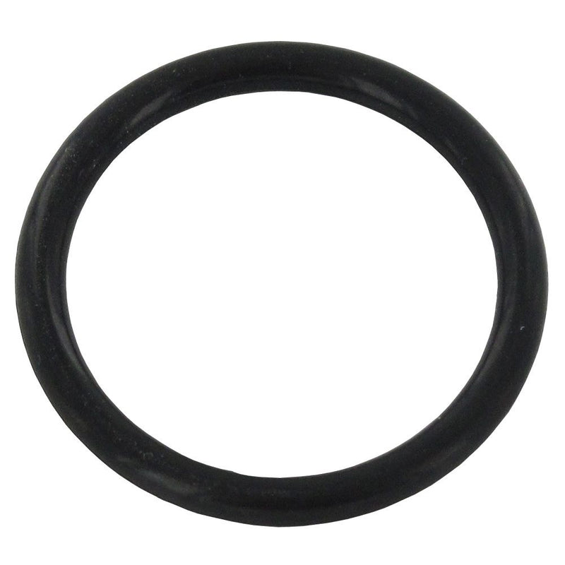 O-Ring for AquaPure AP11, AP12, AP26, AP51, AP101, AP102