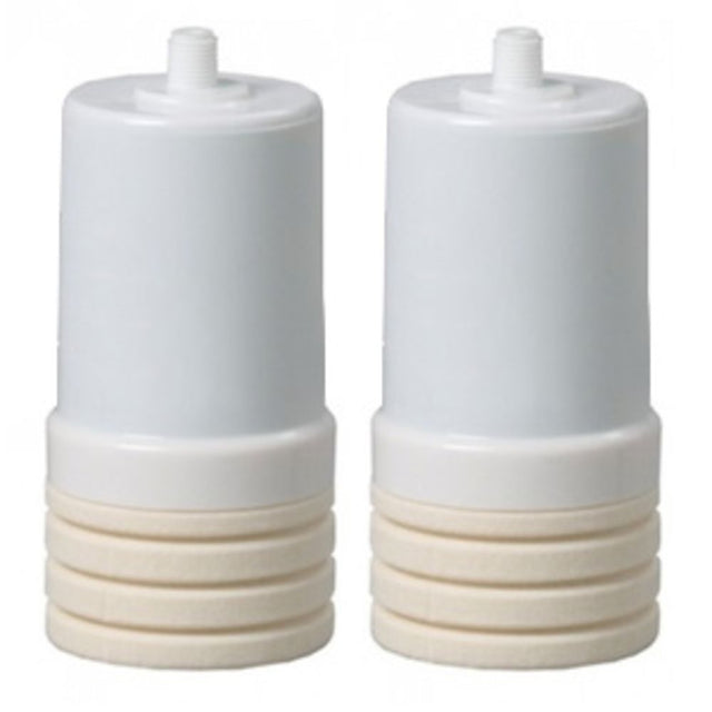 AP205 Replacement Cartridge - 2 Pak