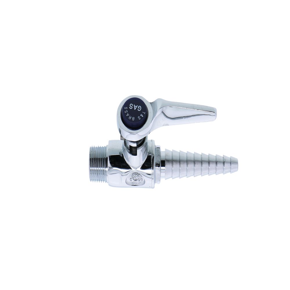 T&S Brass BL-4000-01 Ground Key Hose Cock, 3/8" MNPT Inlet