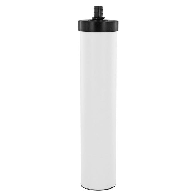 AquaCera CFM1-10S MTBE Reduction Ceramic Filter
