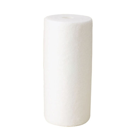 10" BB Dual Gradient Polypropylene Sediment Filter 60/10 mic
