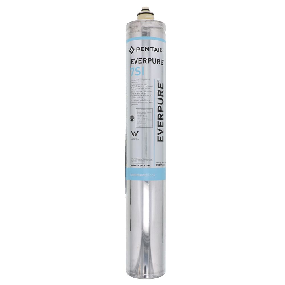 Everpure 7SI EV9606-01 Ice Filter For Slime Reduction