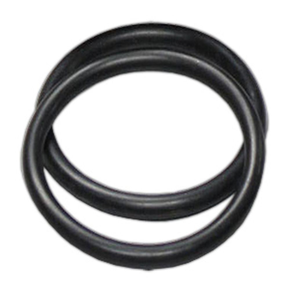 O-Ring for 2.5" Stainless Steel Housing End Cap