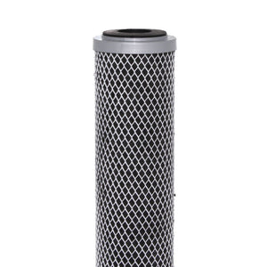 Pentek 455904-43 FloPlus-20 CTO/Cyst 0.5 mic Filter