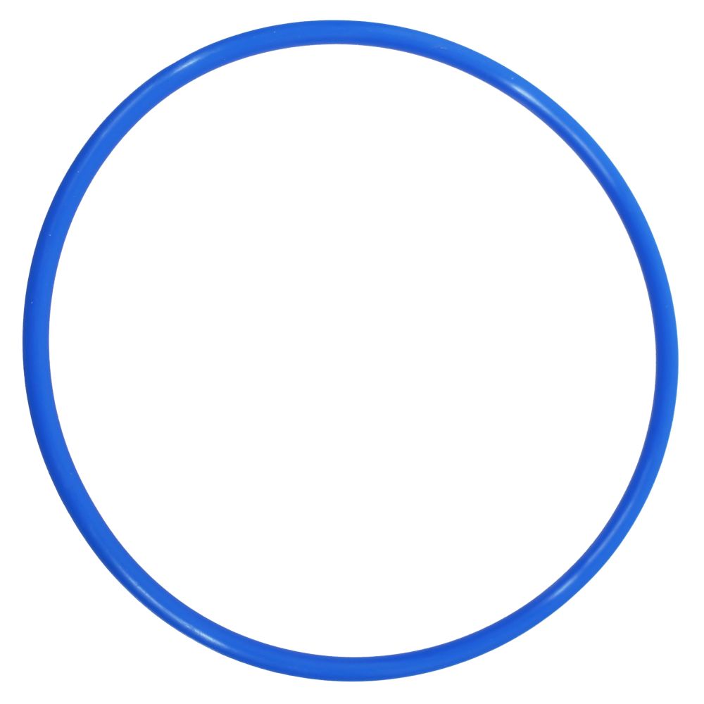 Replacement Blue O-Ring Kit with Lubricant for Whole House Water Systems