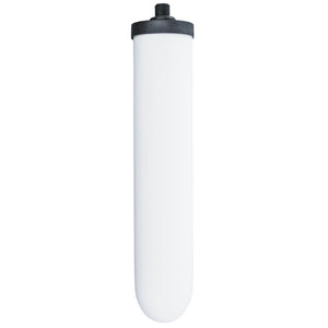 AquaCera W9510300 10" Cerasyl Ceramic Water Filter Short Mount