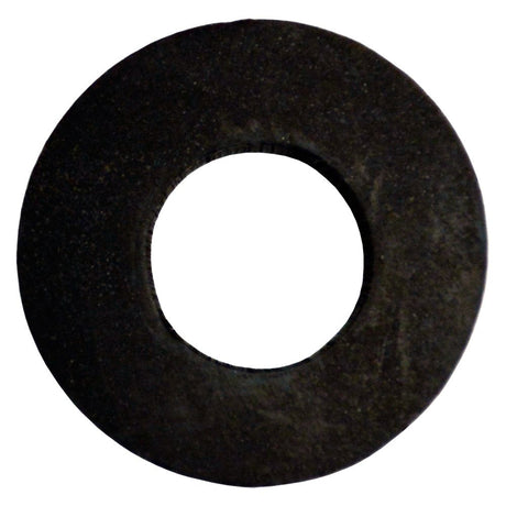 Neo-Pure Hold Down Plate Gasket for Jumbo Housings with Band Clamp Closure